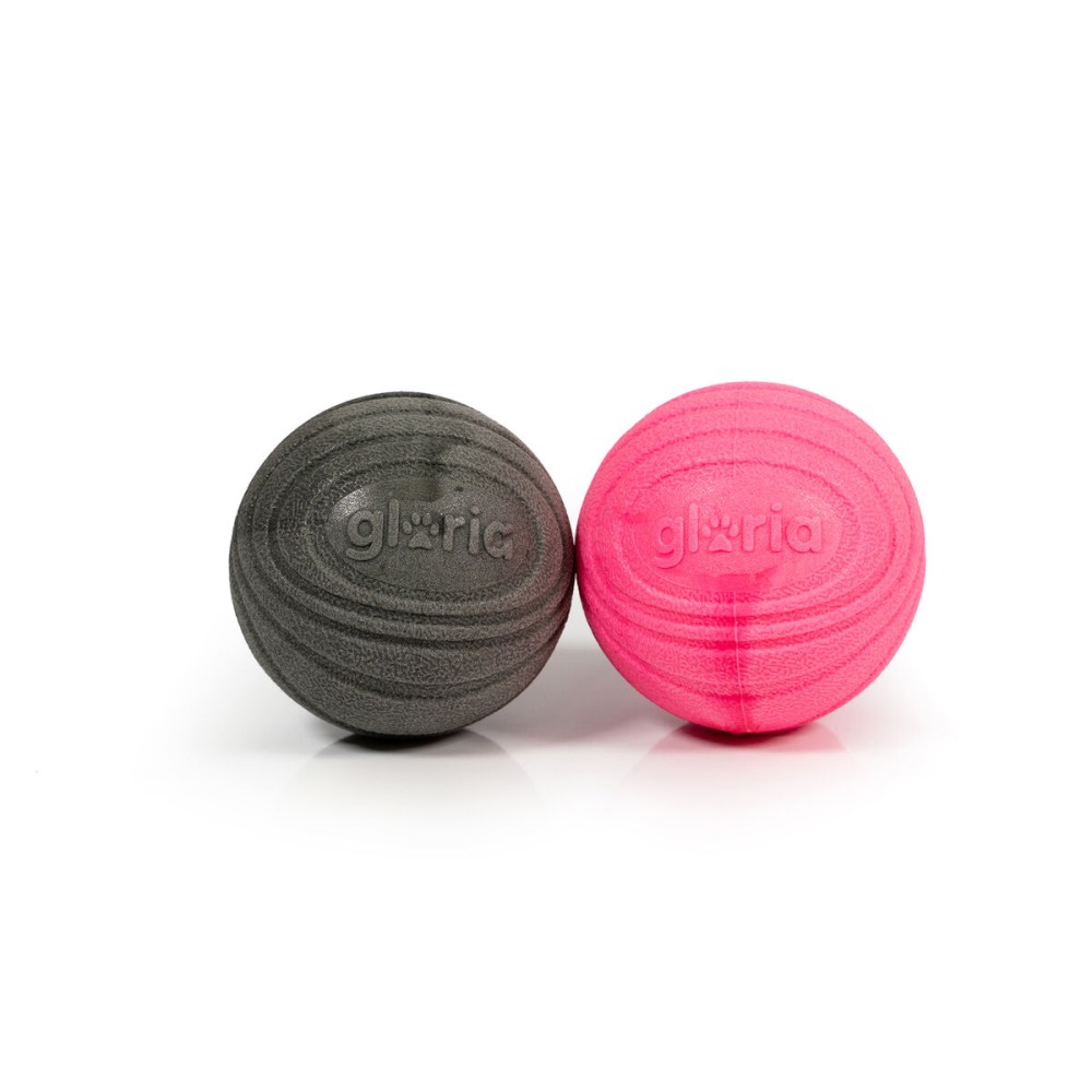 Minge pentru animale de companie Gloria PLAY AND RUN Gri Spumă TPR M 6,35 cm 2 Unități