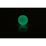 Minge pentru animale de companie Gloria PLAY AND RUN Galben TPR 6,35 cm