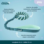 Ham pentru câini Coachi