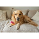 Jucărie pentru câine Nylabone Roz Bacon L