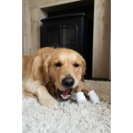 Jucărie pentru câine Nylabone Maro Unt de arahide L