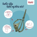 Ham pentru câini Company of Animals FOREST Verde 20