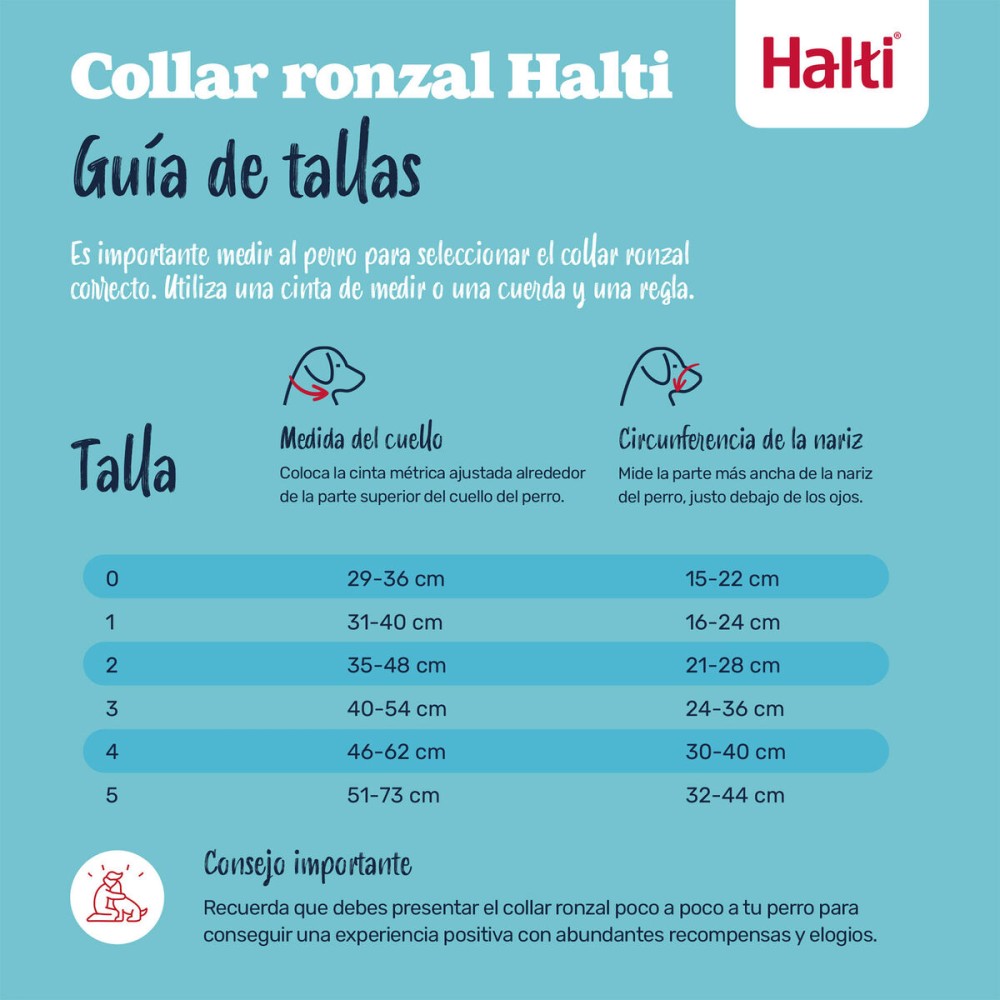 Botniță Company of Animals COBALT Albastru 3