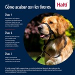 Botniță Company of Animals COBALT Albastru 3