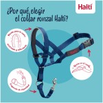 Botniță Company of Animals COBALT Albastru 3