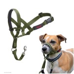 Botniță Company of Animals FOREST Verde Mărimea 1