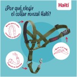 Botniță Company of Animals FOREST Verde Mărimea 1