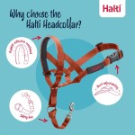 Botniță Company of Animals BURNT Portocaliu Mărimea 1