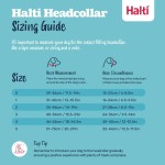 Botniță Company of Animals BURNT Portocaliu 4