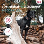 Zgardă pentru câini Company of Animals Gri