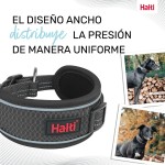 Zgardă pentru câini Company of Animals Gri