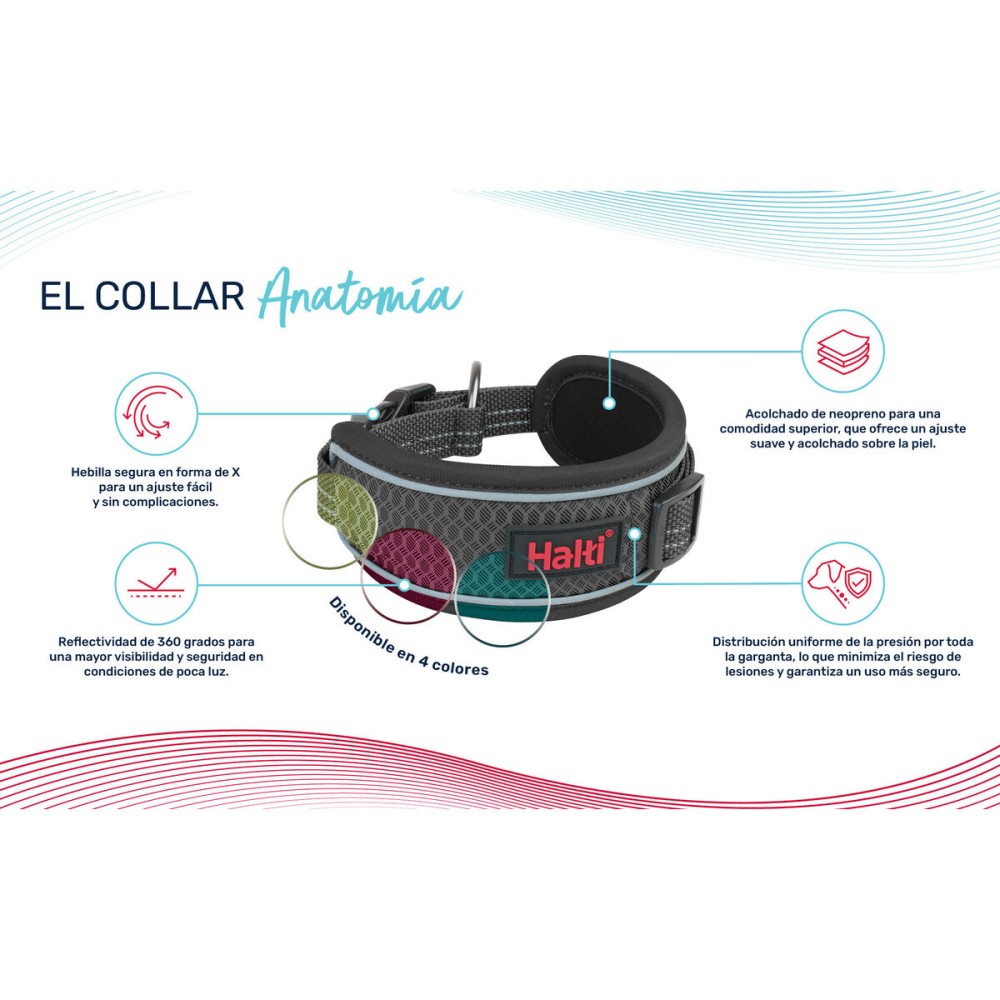 Zgardă pentru câini Company of Animals Gri