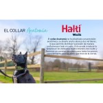 Zgardă pentru câini Company of Animals