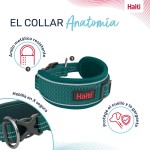 Zgardă pentru câini Company of Animals Turquoise