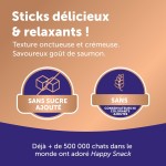 Hrană umedă Ceva 12 g