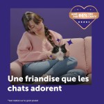 Hrană umedă Ceva 12 g