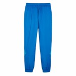 Pantalon de Antrenament de Fotbal pentru Adulți Puma 774055 19 Bărbați