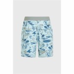 Costum de Baie Bărbați O'Neill Hyperfreak Mysto Scallop 19'' Albastru