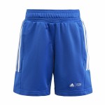 Set de lenjerie/haine Adidas adidas x Marvel Infantil Multicolor