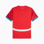 Tricou cu Mânecă Scurtă Bărbați Puma Repúplica Checa 2024