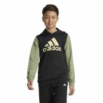 Hanorac cu Glugă Bărbați Adidas Essentials Verde
