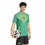 Tricou de fotbal Adidas Jamaica 2024 Pre Match Verde