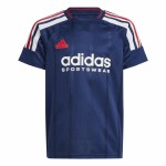 Tricou cu Mânecă Scurtă Unisex Adidas Tiro Nations Pack Albastru