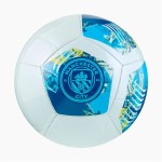 Minge de Fotbal Puma Manchester City Ftblnrgy Albastru Mărimea 5