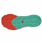 Pantofi de trail pentru femei Salomon Thundercross Negru