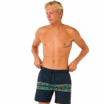 Costum de Baie Bărbați Rip Curl Framed Volley Update Bleumarin