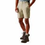 Pantalon Scurt Sport Regatta TrvlLghtPckawaySh Munte