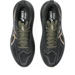 Încălțăminte de Running pentru Adulți Asics Gt-1000 14 Gtx Negru