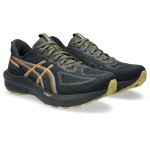 Încălțăminte de Running pentru Adulți Asics Gt-1000 14 Gtx Negru