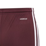 Pantalon Scurt Sport Adidas Squad 21 Roșu Închis