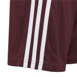 Pantalon Scurt Sport Adidas Squad 21 Roșu Închis