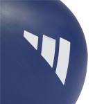 Cască de Înot Adidas 3 Bandas Albastru Silicon