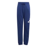 Trening Copii Adidas Big Logo French Terry Jog Albastru