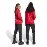 Trening Copii Adidas Big Logo Roșu