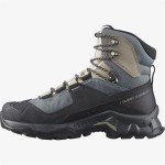 Cizme de munte Salomon Quest Element Gore-Tex Gri