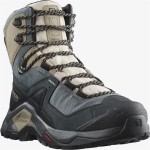 Cizme de munte Salomon Quest Element Gore-Tex Gri