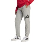 Pantaloni Sport pentru Copii Adidas Big Logo French Terry Gri