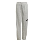 Pantaloni Sport pentru Copii Adidas Big Logo French Terry Gri