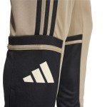 Pantalon de Antrenament de Fotbal pentru Adulți Adidas Squadra25 Tr