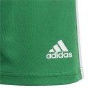 Pantaloni Scurți Sport pentru Copii Adidas Squad 21 Y Verde
