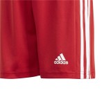 Pantaloni Scurți Sport pentru Copii Adidas Squad 21 Y Roșu