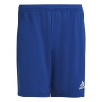 Pantalon de Antrenament de Fotbal pentru Adulți Adidas Ent22 Albastru