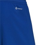 Pantalon de Antrenament de Fotbal pentru Adulți Adidas Ent22 Albastru