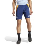 Pantalon de Antrenament de Fotbal pentru Adulți Adidas Real Madrid 24/25 Training Albastru