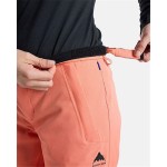 Pantaloni de ski Burton Society Pants Somon