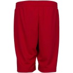 Pantaloni lungi de sport Jordan Jumpman Roșu